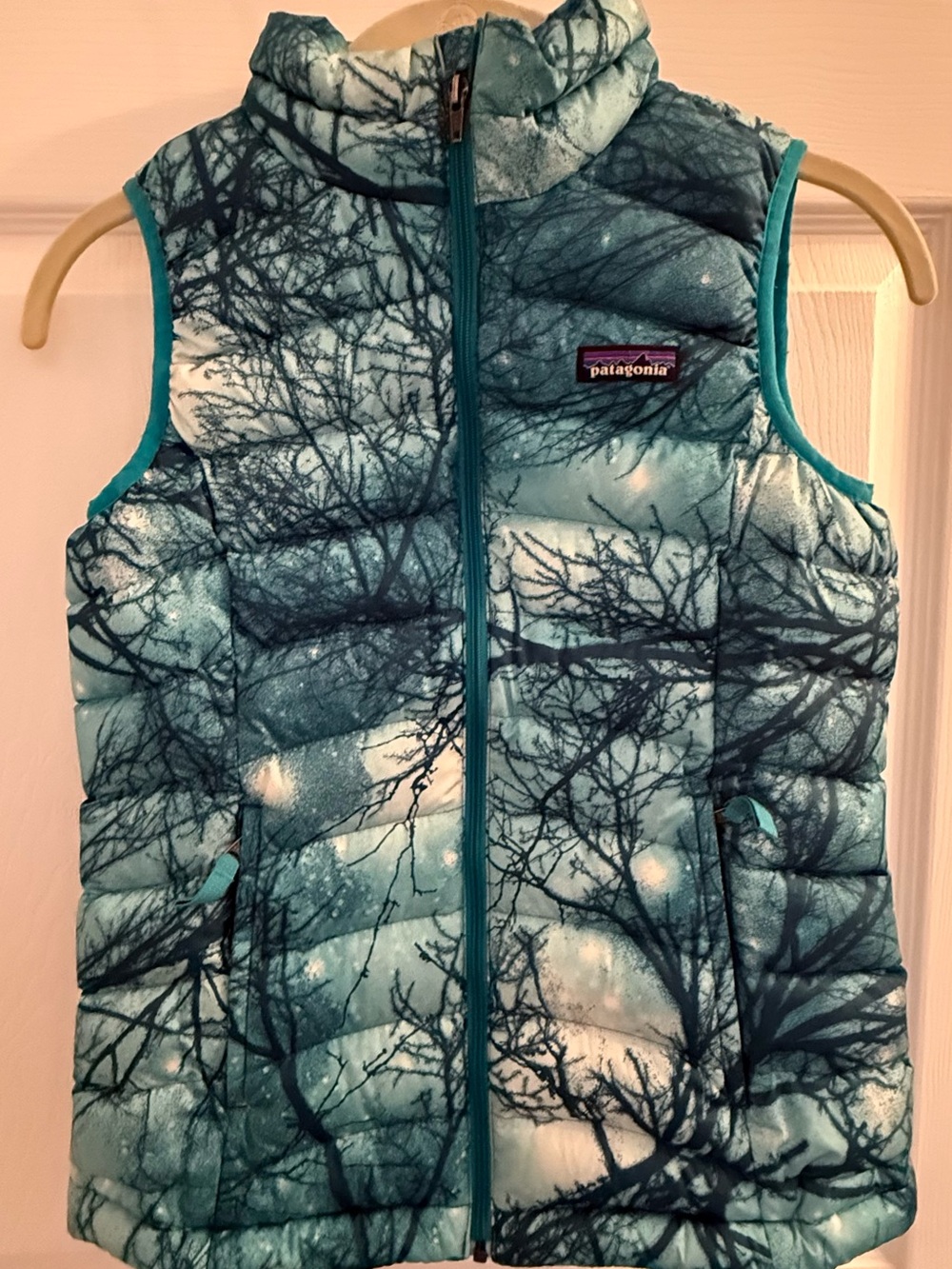 Patagonia Girls Teal and Navy Tree-Print Puffer Vest